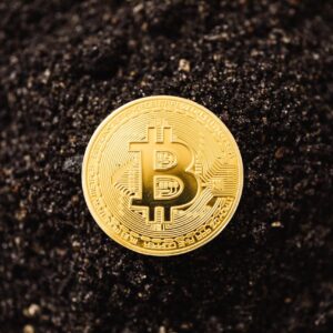 Close-up of a golden Bitcoin coin resting on dark soil, symbolizing cryptocurrency growth.